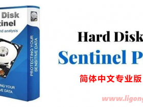  Hard Disk Sentinel v6.20.1
