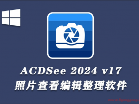 ACDSee旗舰版2024(v17.1.1.3800)