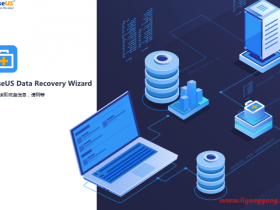  EaseUS Data Recovery Wizard 17.0 Premium Portable