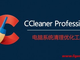 CCleaner v6.24.11060 绿色便携版