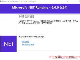 Microsoft .NET Runtime v7.0.10/6.0.10/5.0.13 官方正式版