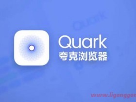 Quark夸克浏览器 v6.7.3.411 清爽版/自带黑科技浏览器软件
