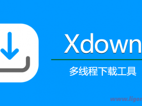 Xdown(多功能下载)v2.0.8.6 绿色版idm/torrent/百度云