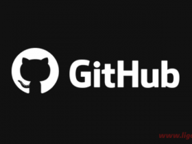 GitHub资源下载必备神器 GitHub下载器 v2.2