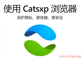 猫眼浏览器 (Catsxp) v4.4.8 官方版