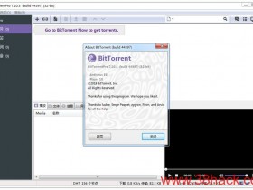 BitTorrent Pro破解版 7.10.5.45272 中文特别版