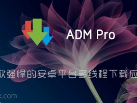 多线程下载应用ADM Pro v12.3 for Android 直装付费高级版 + 魔改版