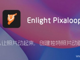 图片特效编辑器Enlight Pixaloop Pro v1.2.8直装破解专业版 for Android