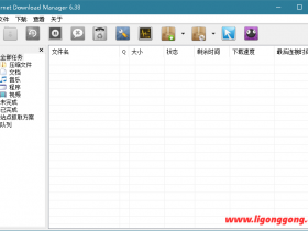 InternetDownloadManager v6.40.11 简体中文破解版