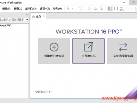 VMware Workstation PPRO_v16.2.3_正式版