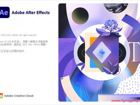 After Effects 2022 22.4.0.56 @vposy特别版