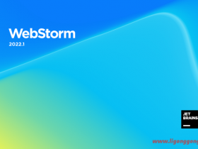 JetBrains WebStorm v2022.1.3 永久激活版