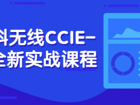 思科无线CCIE-EI全新实战高级视频课程