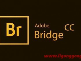 Adobe Bridge 2024 (v14.0.1.137.0)  照片和设计管理工具