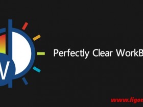 Perfectly Clear WorkBench v4 (4.6.0.2593)