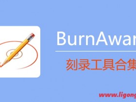 BurnAware Professional 16.4.0 中文破解版