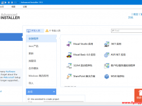 AdvancedInstaller v20.2.1中文破解版便携版