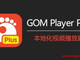 GOM Player Plus v2.3.93.5363 中文破解版