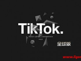 抖音海外版TikTok v30.7.4 去广告无水印版