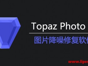 Topaz Photo AI破解版(图片降噪软件) v2.1.4