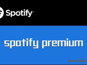 Spotify v1.2.4.893 for Windows 绿色便携版