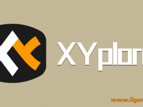 多标签文件资源管理器 XYplorer v24.00.0500 中文免费绿色版