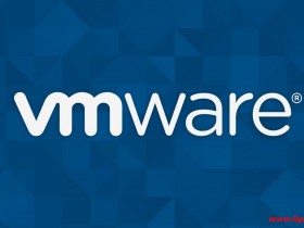 VMware Workstation PRO v17.5.0 正式版