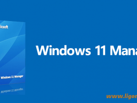 Windows11 Manager 1.3.1.0 系统优化工具