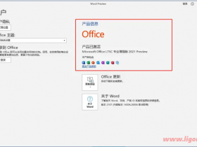 Office2021 专业增强版激活密钥 Office2021 神 key