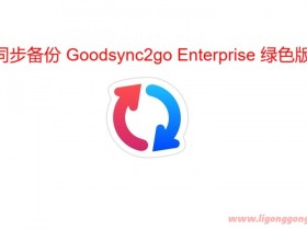同步备份 Goodsync2go Enterprise v12.4.1.1 绿色版