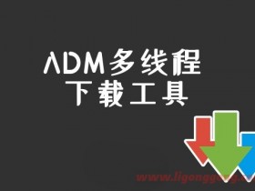 多线程下载应用ADM Pro v14.0.24 专业直装版