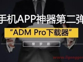多线程下载应用ADM Pro v14.0.25 专业直装版