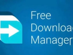 BT种子下载工具 Free Download Manager v6.22.0.5714