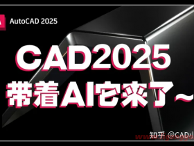 Autodesk AutoCAD v2025.0.0 “珊瑚の海” 精简优化版