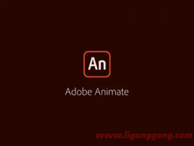 Adobe Animate 2024 v24.0.3.19 m0nkrus