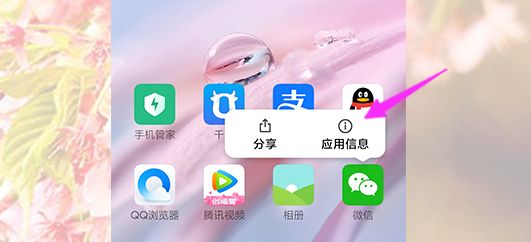 微信发不了语音怎么回事？解决方法分享[多图]图片2