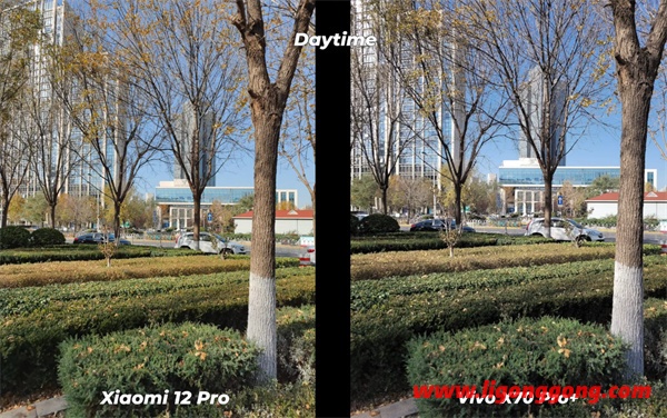 小米12Pro和vivoX70Pro+拍照对比