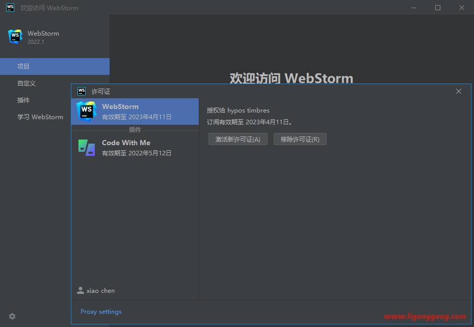 JetBrains WebStorm v2022.1.3 永久激活版-无痕哥