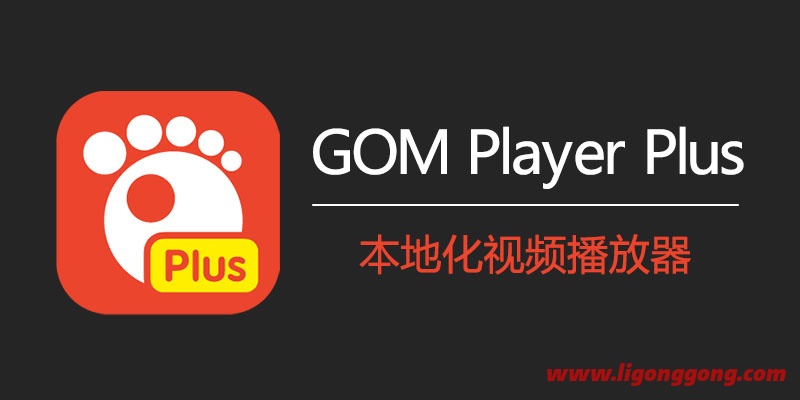 GOM Player Plus v2.3.90.5360 中文破解版