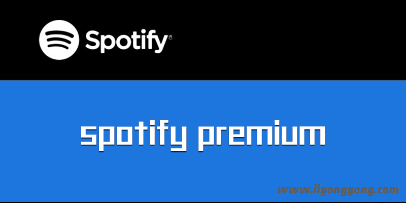 Spotify v1.2.4.893 for Windows 绿色便携版