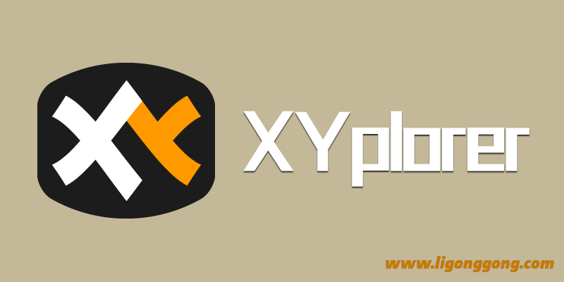 多标签文件资源管理器 XYplorer v25.60.0100 中文免费绿色版