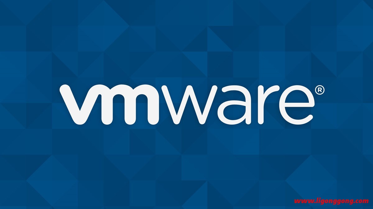 VMware Workstation PRO v17.0.1 正式版