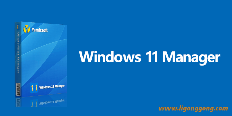 Windows 11 Manager 激活便携版 v1.2.1.0