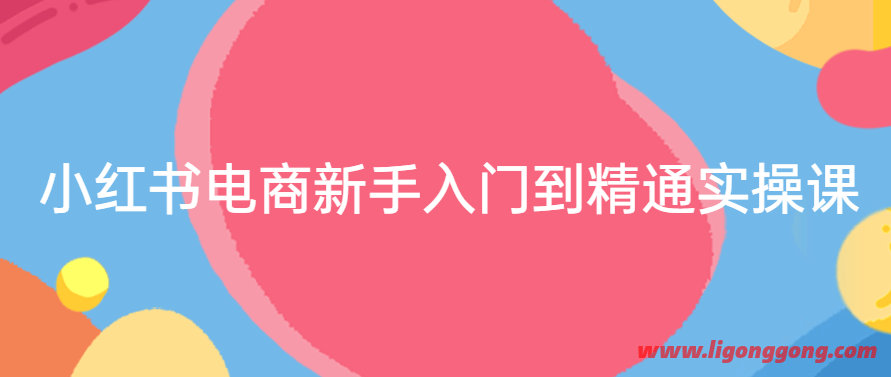 小红书电商新手入门到精通实操课-软件库