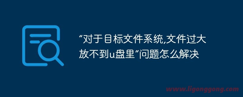 “对于目标文件系统,文件过大放不到u盘里”问题怎么解决