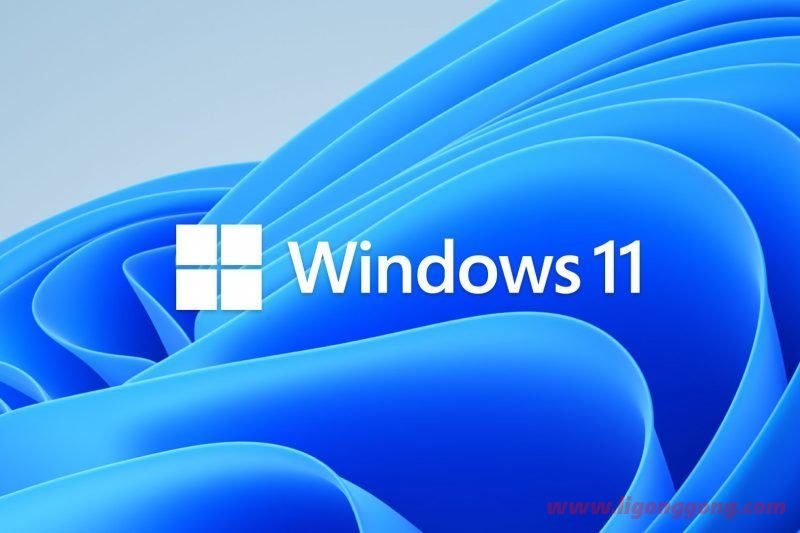 Win11 Canary 25926 预览版今日发布 附更新亮点汇总-软件库