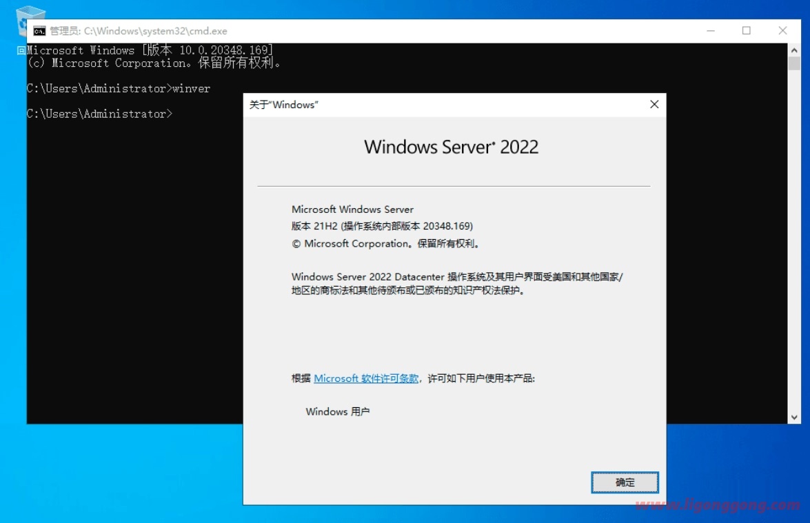 Windows Server 2022 21H2 (20348.1906)