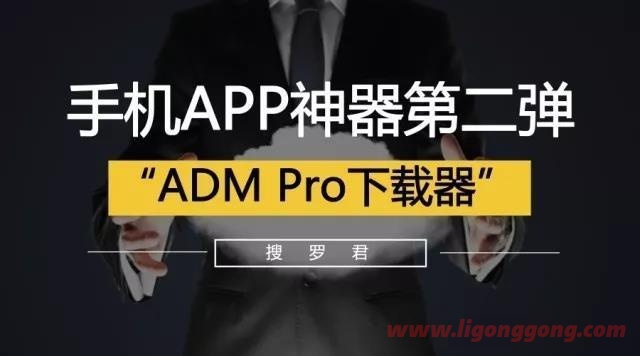 多线程下载应用ADM Pro v14.0.25 专业直装版-软件库