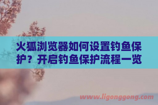 火狐浏览器如何设置钓鱼保护？开启钓鱼保护流程一览