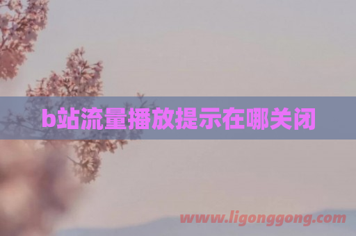 b站流量播放提示在哪关闭-软件库